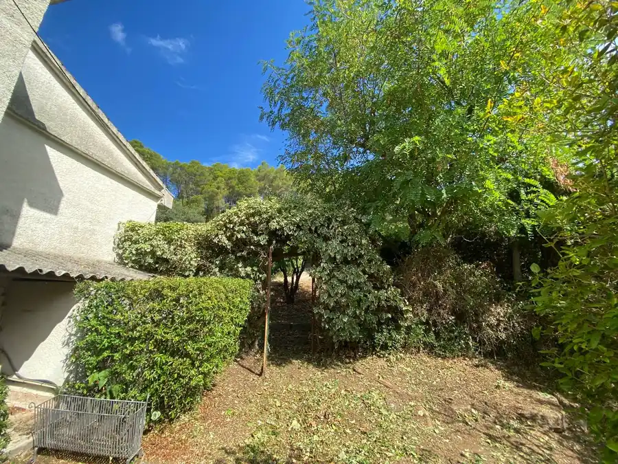 Massif taillé et pelouse tondue devant une villa, contrat d'entretien annuel