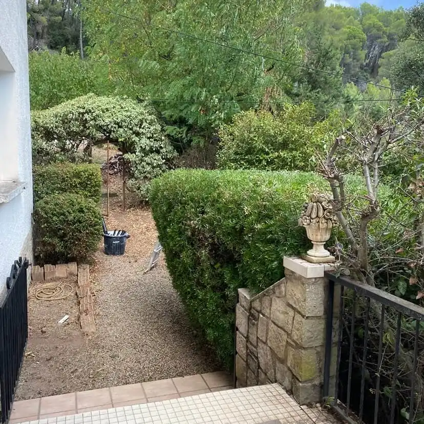 Haies taillées au cordeau et allée dégagée après la remise en état d'un jardin